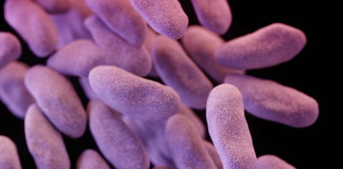 Drugmakers renew interest in antibiotic development