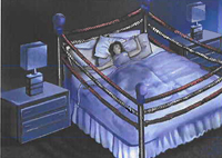 Regulators rapped Sepracor’s “boxing bed” ad for making misleading claims about efficacy and MOA
