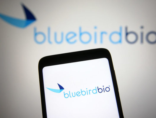 Bluebird Bio tabs Joseph Vittiglio as chief business and legal officer