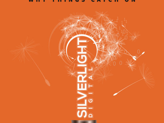 Agency 100 2022: Silverlight Digital