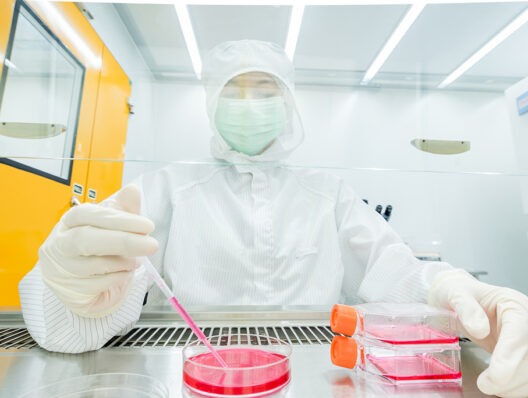 Regeneron, Sonoma Biotherapeutics ink $75M collaboration to develop novel T cell therapies