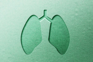 lung anatomy in green paper cut style