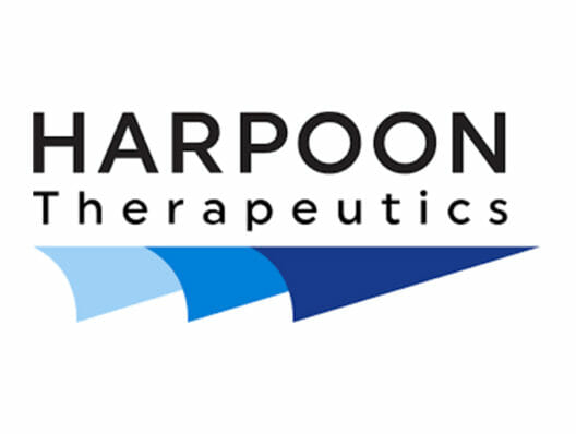 Harpoon Therapeutics appoints Haibo Wang as SVP of business development