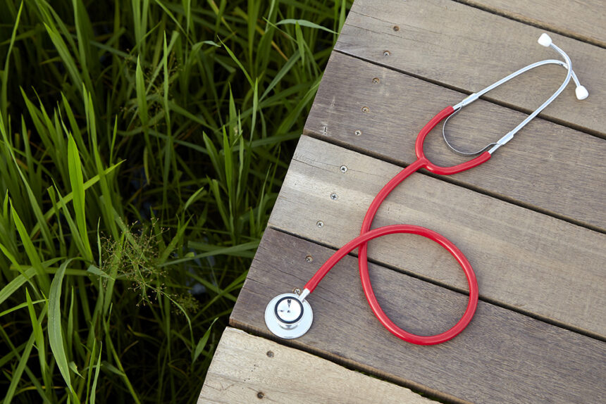 Stethoscope and grass