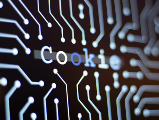 Moving on from cookies with privacy-safe targeting: Why real world data has been the solution all along