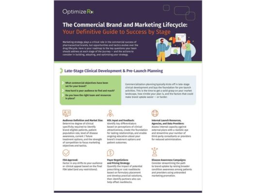 The Commercial Brand and Marketing Lifecycle: Your Definitive Guide to Success by Stage